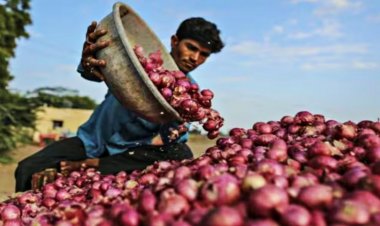प्याज की कीमतों में उछाल, किसानों को एक्सपोर्ट ड्यूटी हटने और दाम बढ़ने की उम्मीद