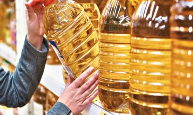 वनस्पति तेलों का आयात पांच महीने के निचले स्तर पर, अगस्त में 16 फीसदी की गिरावट