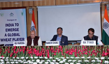 रिसर्च, इनोवेशन और पॉलिसी सुधार से भारत बन सकता है गेहूं में ग्लोबल लीडर