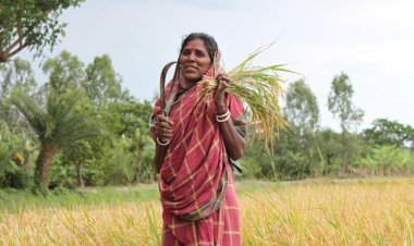 क्या है कृषि सखी योजना जिसमें 90 हजार महिलाओं को मिल रही ट्रेनिंग