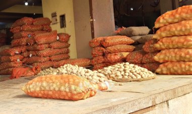 तीन साल बाद आलू किसानों के अच्छे दिन, कम उत्पादन और सब्जियों के दाम बढ़ने का फायदा