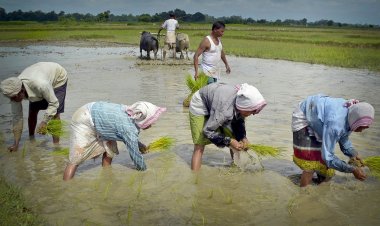 10 साल में भी दोगुना नहीं हुआ कई फसलों का MSP, यूपीए के समय हुई थी तीन गुना तक बढ़ोतरी