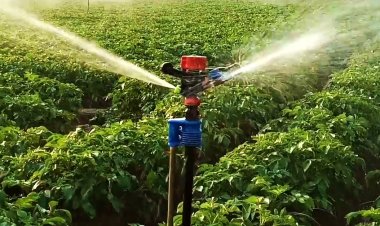 मिनी स्प्रिंकलर सेट पर 60 फीसदी तक सब्सिडी पाने का मौका, यहां करें आवेदन