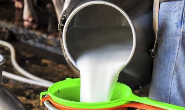 मुश्किल में महाराष्ट्र के दूध किसान, कीमतें 26 रुपये लीटर तक गिरी