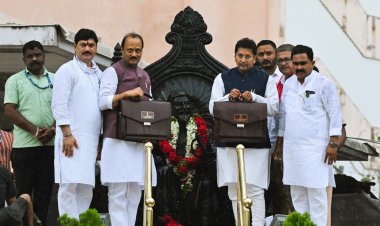 महाराष्ट्र बजट: किसानों को मुफ्त बिजली, दूध सब्सिडी जारी रखने का ऐलान