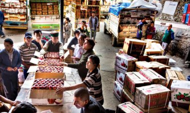 शिमला में सेब माल भाड़ा तय, पेटियों के बजाए अब किलो के आधार पर होगी ढुलाई