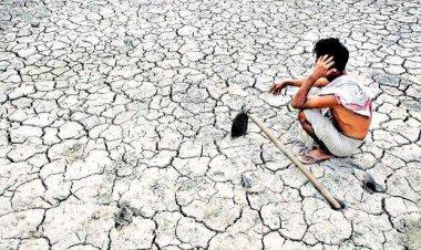 मराठवाड़ा में 6 महीनों में 430 किसानों ने की आत्महत्या, बीड में सबसे ज्यादा मामले