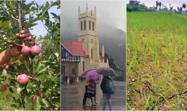 हिमाचल में मानसून पर लगा ब्रेक! अब तक 32 फीसदी कम बारिश, खेती-बागवानी प्रभावित