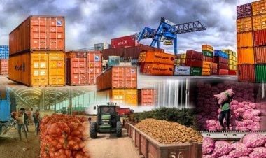 अप्रैल-जून के दौरान कृषि निर्यात में 3.24 फीसदी गिरावट, मक्का निर्यात 76 फीसदी घटा