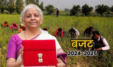 बजट में किसानों को क्या मिला? जानिए कृषि क्षेत्र से जुड़ी प्रमुख घोषणाएं