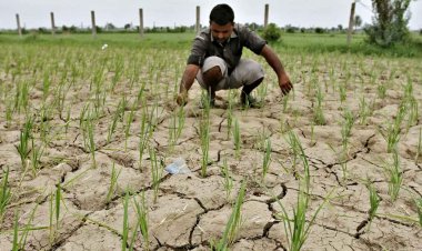 उत्तर पश्चिम भारत में 16 फीसदी कम बारिश, किसान परेशान