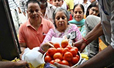 दिल्ली-एनसीआर में 65 रुपये के रेट पर टमाटर की बिक्री शुरू, इन स्थानों से खरीद सकेंगे उपभोक्ता
