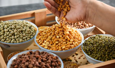 भारत में दालों का आयात 90 फीसदी बढ़ा, वित्त वर्ष 2023-24 में 47.38 लाख टन हुआ इंपोर्ट