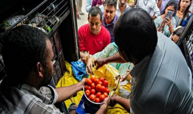 मुंबई में भी 60 रुपये में टमाटर की बिक्री शुरू, इन स्थानों से खरीदें उपभोक्ता