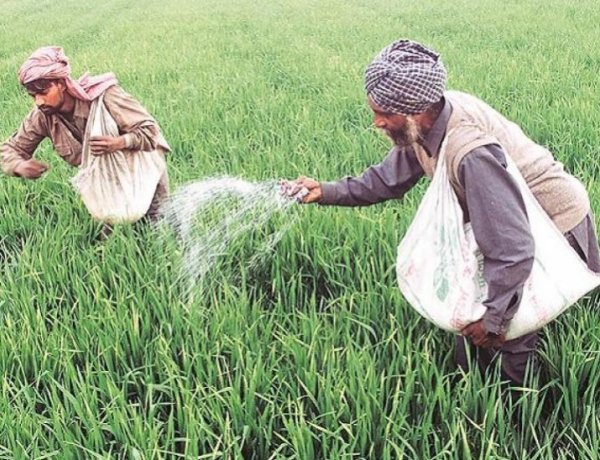 उर्वरक स्टॉक पिछले साल से बेहतर, युद्ध सप्ताह भर और खिंचा तो बढ़ेगा संकट, कंपनियों ने घटाया यूरिया उत्पादन
