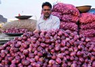 प्याज का खरीद मूल्य 24% बढ़कर 15.80 रुपये प्रति किलो हुआ; दालों का बफर स्टॉक रिकॉर्ड 43 लाख टन पर पहुंचा