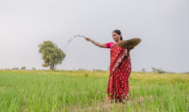 खरीफ की लगभग 82 फीसदी बुवाई पूरी, दलहन-तिलहन और धान के क्षेत्र में बढ़त