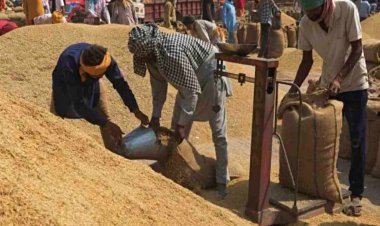 उत्तर प्रदेश में 1 अक्टूबर से शुरू होगी धान की खरीद, समय सारणी जारी