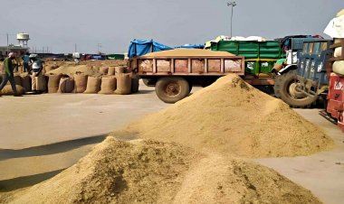 पीजेंट वेलफेयर एसोसिएशन ने खाद्य मंत्री से की बासमती का एमएसपी तय करने की मांग