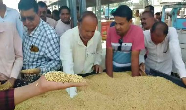 सोयाबीन की कीमतें 10 साल पुराने स्तर पर, मंडियों में 3500 रुपये प्रति क्विंटल रह गया दाम