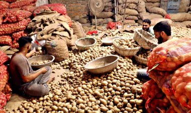 पश्चिम बंगाल सरकार ने दूसरे राज्यों को 2 लाख टन आलू भेजने की अनुमति दी