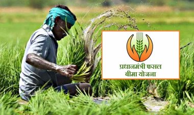 6 राज्यों में फसल बीमा कराने की तारीख बढ़ी, केसीसी धारकों के लिए 25 अगस्त तक का मौका