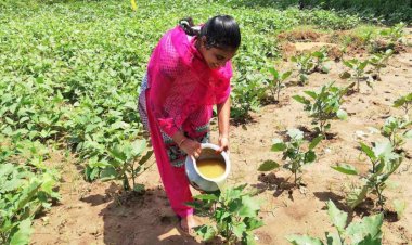 प्राकृतिक खेती के सफल मॉडलों का राष्ट्रीय डेटाबेस बनाने की तैयारी