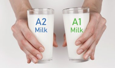 ए2 के नाम पर दूध की गुणवत्ता का दावा भ्रामक और नियम विरूद्ध: एफएसएसएआई