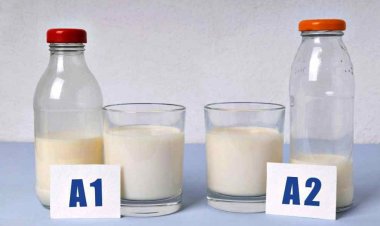 एफएसएसएआई ने ए2 दूध पर दिए अपने निर्देश को वापस लिया