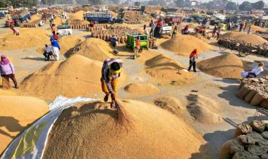 बासमती पर MEP घटाने के लिए चावल निर्यातकों ने पीएम मोदी को लिखा पत्र