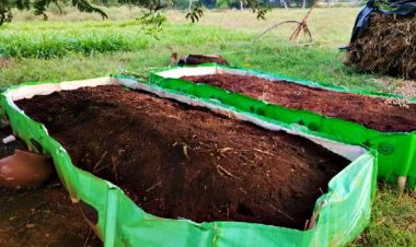 वर्मी कंपोस्ट इकाई लगाने के लिए इस राज्य के किसानों को मिलेगा 50 हजार रुपये तक का अनुदान