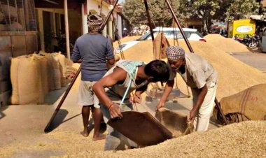 उत्तर प्रदेश में धान खरीद के लिए पंजीकरण शुरू, 1 अक्टूबर से होगी खरीद