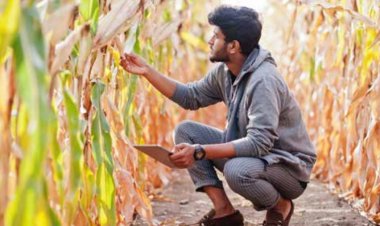 क्या कृषि को लेकर बजट से हमारी उम्मीदें बहुत ज्यादा थीं?