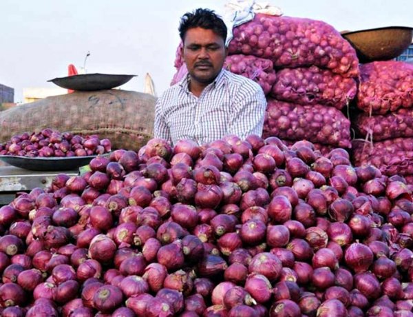 प्याज का खरीद मूल्य 24% बढ़कर 15.80 रुपये प्रति किलो हुआ; दालों का बफर स्टॉक रिकॉर्ड 43 लाख टन पर पहुंचा
