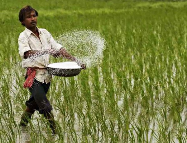 Iran War: गैस की कमी से सिर्फ 60% क्षमता पर चल रहे अधिकांश यूरिया प्लांट, कीमत भी 600 डॉलर प्रति टन हुई