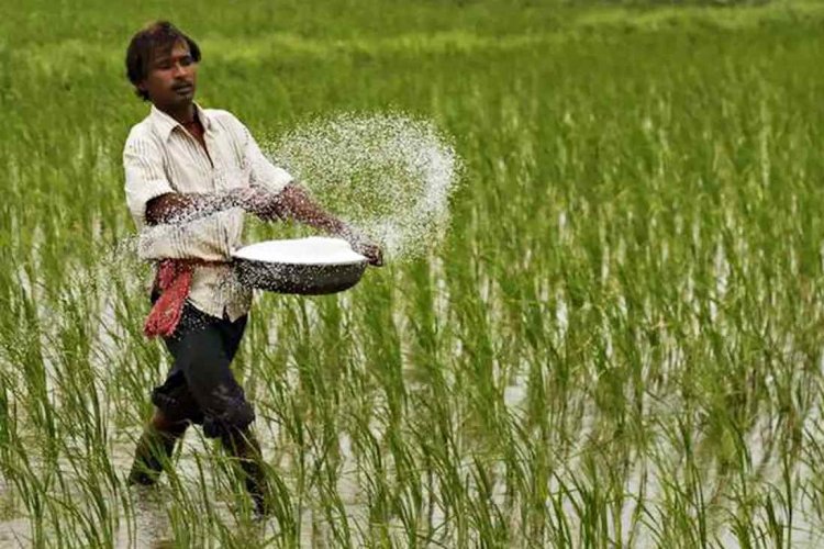 यूरिया का आयात मूल्य 530 डॉलर पर पहुंचा, घरेलू स्टॉक पिछले साल से 49 लाख टन कम होने से बढ़ी किल्लत
