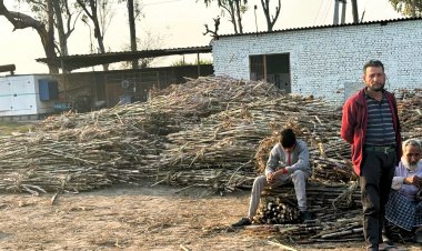 खांडसारी उद्योग पर कंट्रोल की तैयारी, शुगर कंट्रोल ऑर्डर 2024 से बढ़ेगा नियंत्रण