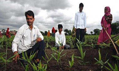 कृषि प्रशिक्षण के लिए विदेश जाएंगे राजस्थान के 100 युवा किसान, ऐसे होगा चयन   