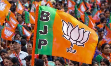 हरियाणा में बीजेपी के 67 उम्मीदवारों की सूची जारी, जानिए क्या रहे बड़े उलटफेर