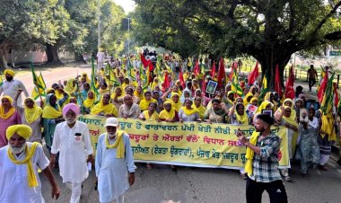 कृषि नीति पर हितधारकों के साथ चर्चा के बाद होगा फैसला