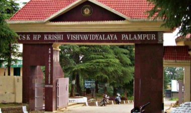 हिमाचल सरकार पालमपुर कृषि विश्वविद्यालय की जमीन पर्यटन विभाग को देने पर अडिग