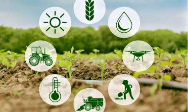 भारत में 27.8 लाख डॉलर की मदद से कृषि तकनीक को बढ़ावा देगा वॉलमार्ट फाउंडेशन