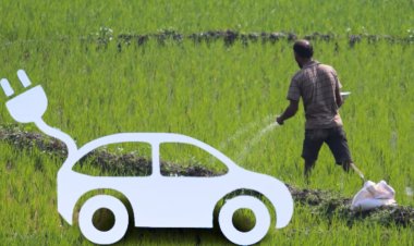 इलेक्ट्रिक कारें कैसे पैदा करेंगी डीएपी का संकट