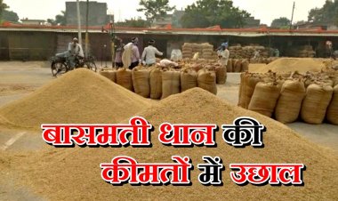 बासमती धान की कीमतों में उछाल, एमईपी हटते ही 23 फीसदी तक बढ़े दाम