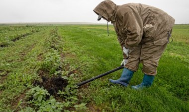 कृषि निर्यात बढ़ाने के लिए रूस की खेती की जमीन का विस्तार करने की योजना