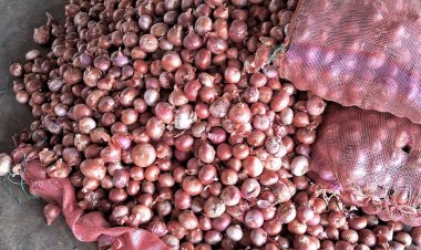 निर्यात पाबंदियों में ढील के बाद प्याज महंगाई रोकने की चुनौती, बफर स्टॉक से बिक्री बढ़ाई