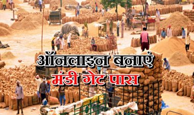 हरियाणा में किसान मोबाइल ऐप के जरिए बनवा सकेंगे मंडी पास