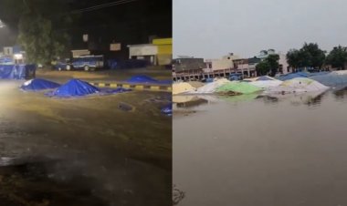 हरियाणा की मंडियों में भीगा खुले में पड़ा धान, खरीद में देरी से किसान नाराज