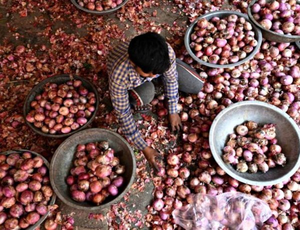 दो माह में 5 बार दाम बढ़ाने के बावजूद सरकारी एजेंसियों को किसान नहीं बेच रहे प्याज, खुले बाजार में कीमत ज्यादा