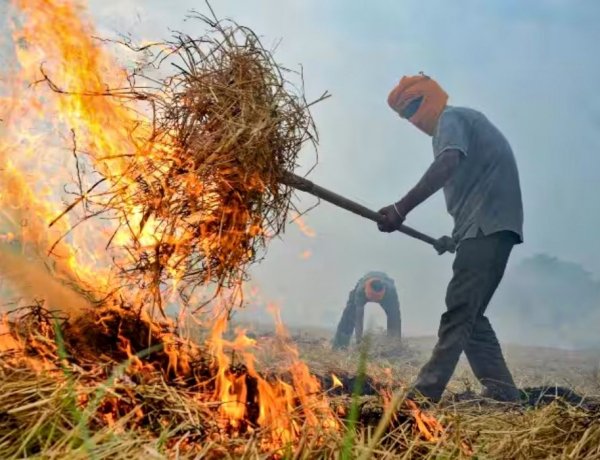 दिल्ली में प्रदूषण के लिए केवल किसान दोषी नहीं, पराली का योगदान 5 फीसदी से अधिक नहीं: केंद्रीय कृषि मंत्री